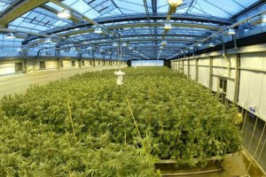GW Growing Facility