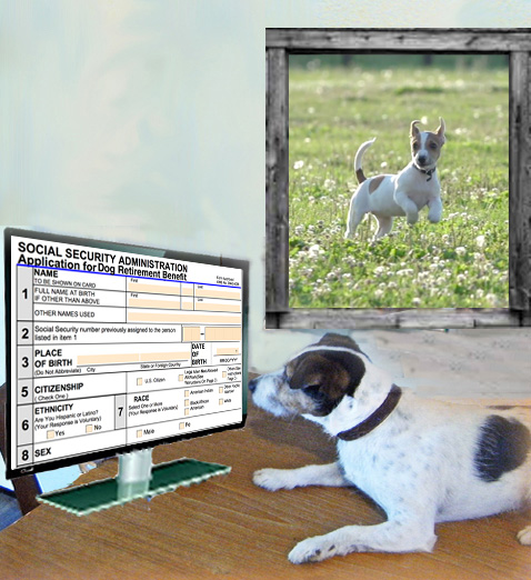DogWithRetirement