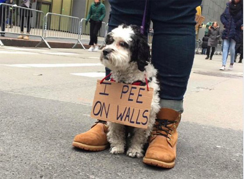 WomensMarch