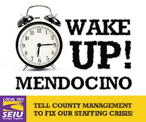 Wake Up! Mendocino