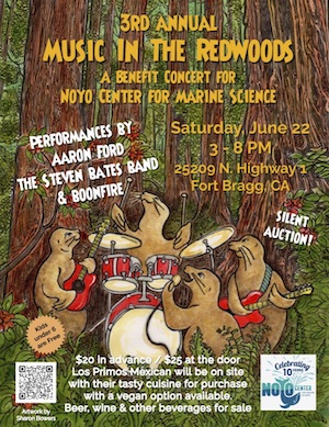 Music in the Redwoods
