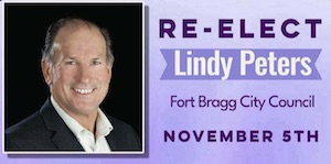 Re-Elect Lindy Peters