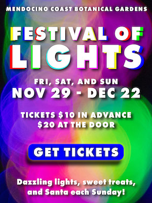 Festival of Lights