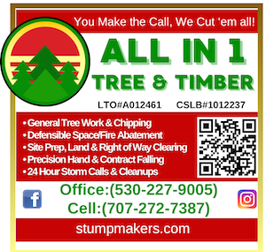 All In One Tree & Timber