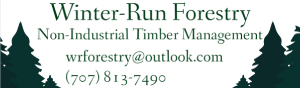 Winter-Run Forestry