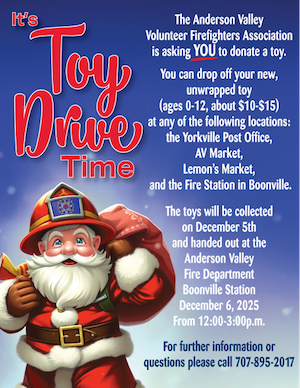 Toy Drive