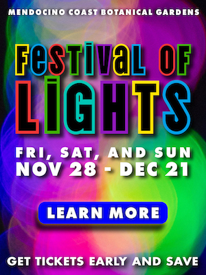 Festival of Lights
